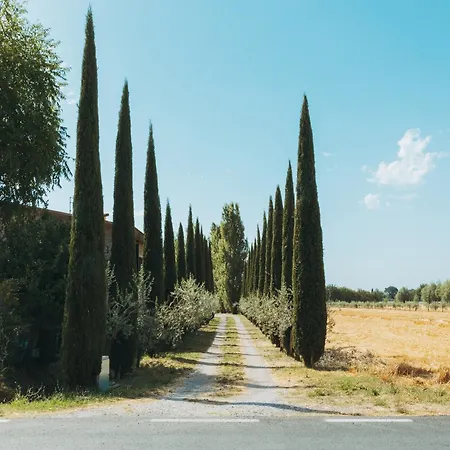 Belvilla By Oyo Gli Olivi Holiday home Cortona